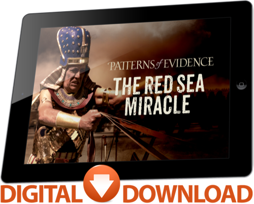 The Red Sea Miracle 1