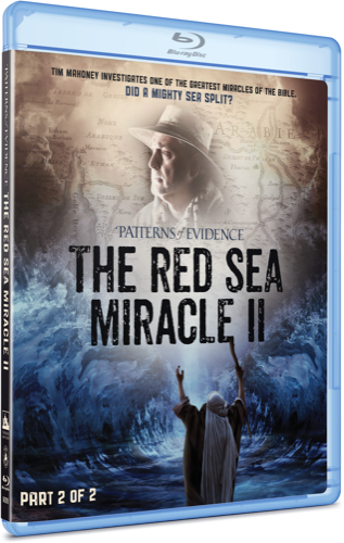 The Red Sea Miracle 2