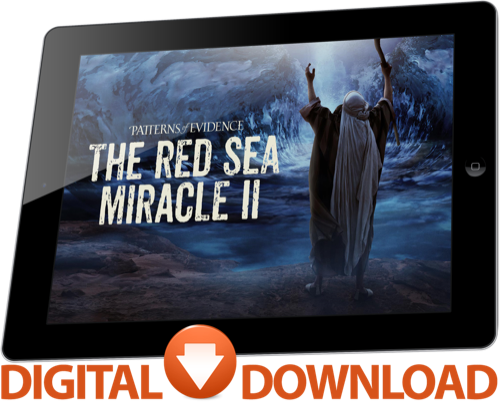 The Red Sea Miracle 2