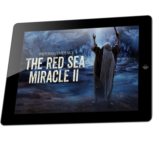 The Red Sea Miracle 2