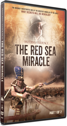 The Red Sea Miracle 1