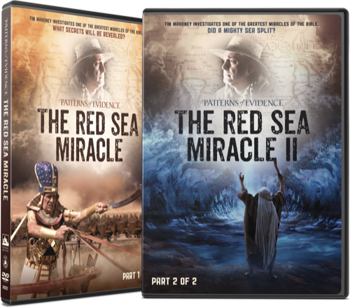 Red Sea Miracle